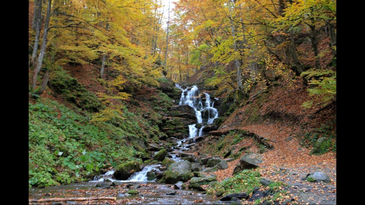 Садиба Домашній затишок Пилипець Екстер'єр фото