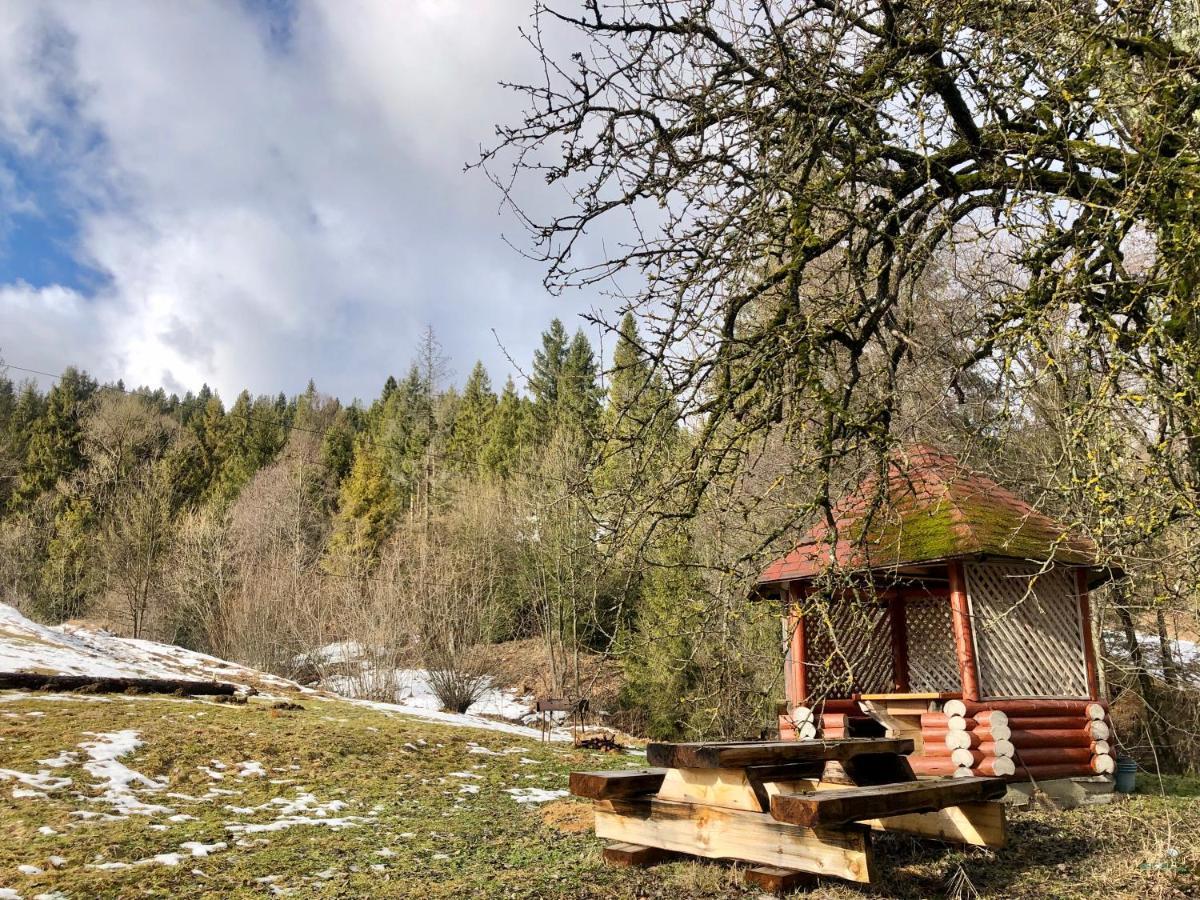 Садиба Домашній затишок Пилипець Екстер'єр фото